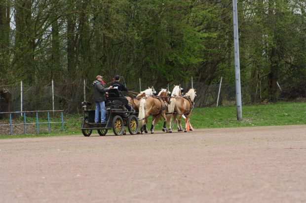 Bildansicht