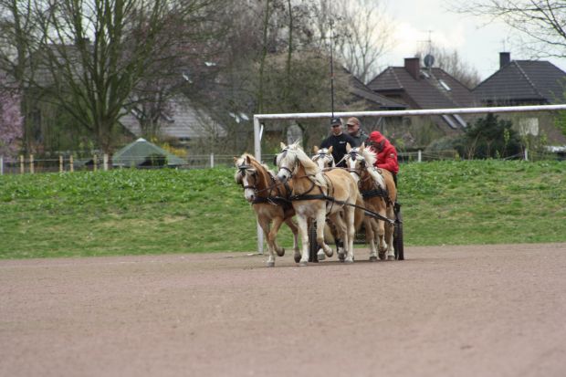 Bildansicht