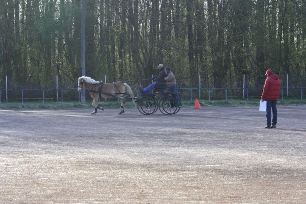 Bildansicht