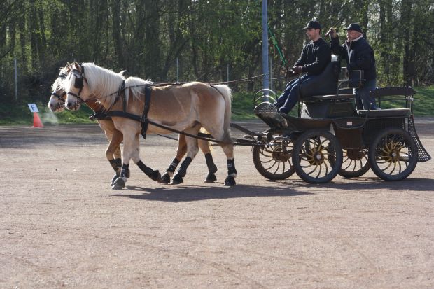 Bildansicht