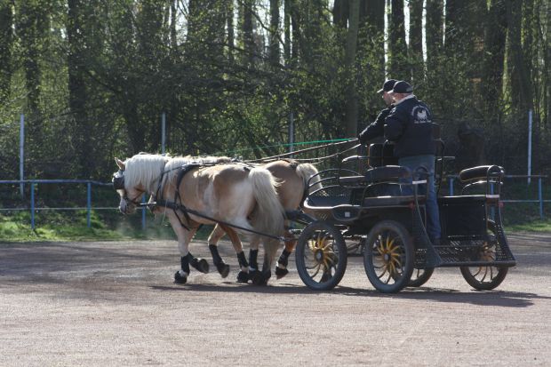 Bildansicht
