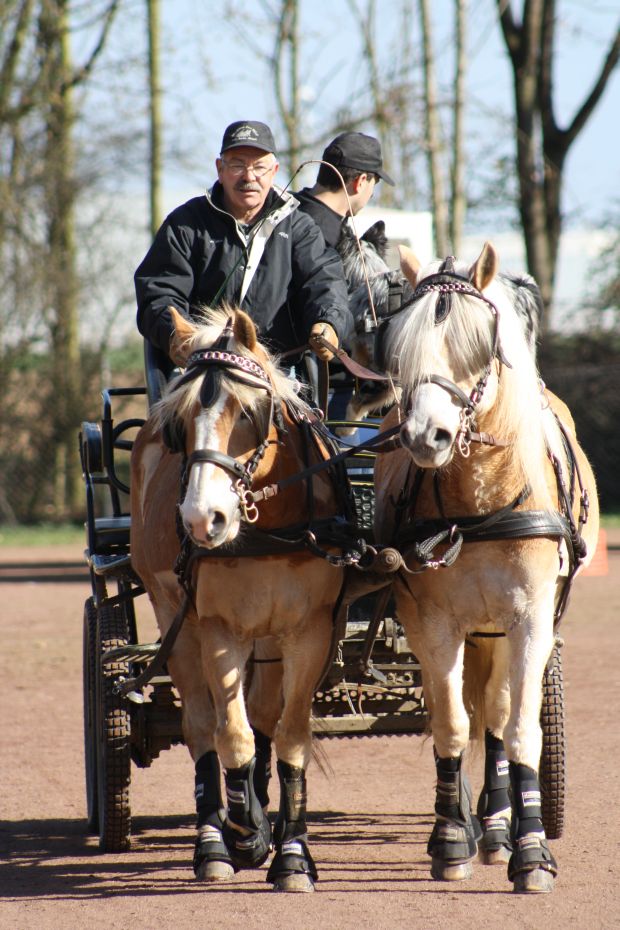 Bildansicht