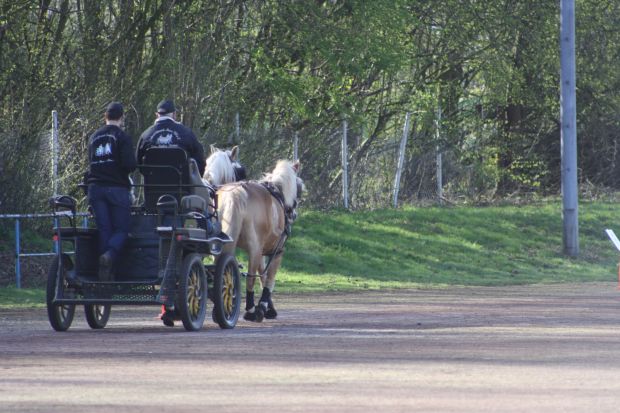 Bildansicht