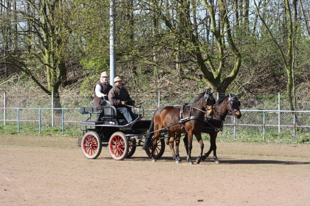 Bildansicht