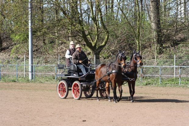 Bildansicht