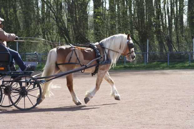 Bildansicht