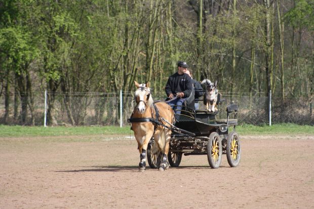 Bildansicht