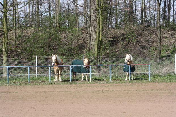 Bildansicht
