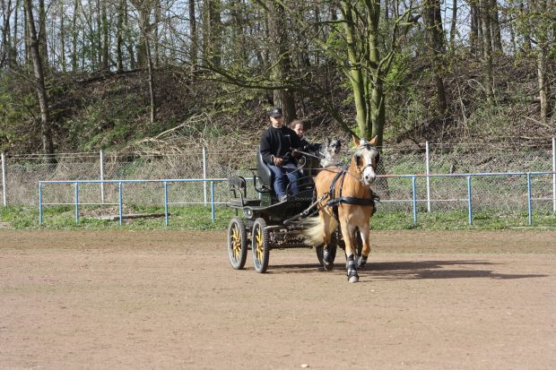 Bildansicht