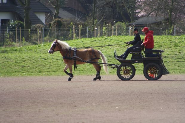 Bildansicht