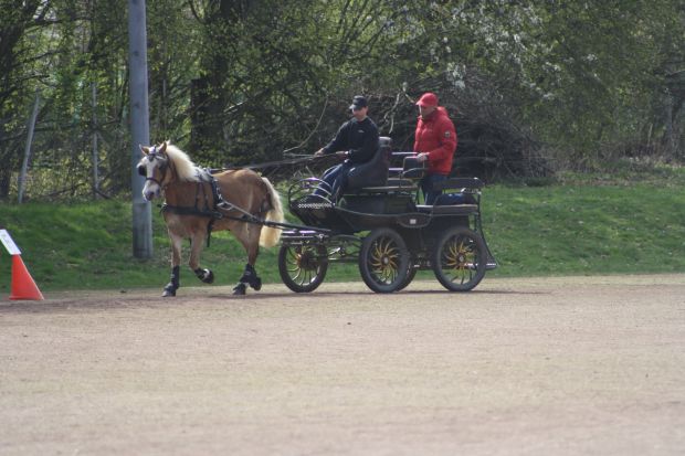 Bildansicht