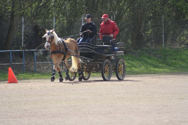 Bildansicht