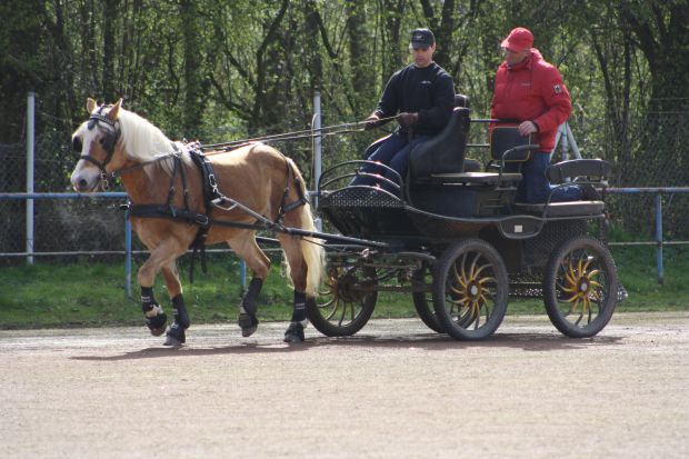 Bildansicht