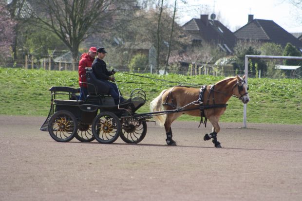 Bildansicht