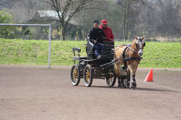 Bildansicht