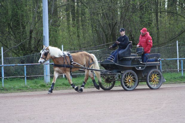 Bildansicht
