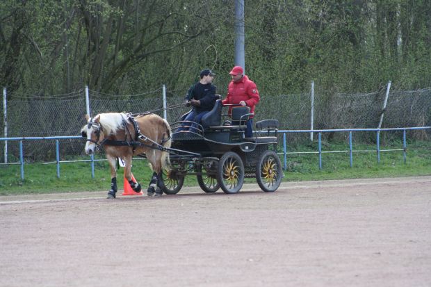 Bildansicht