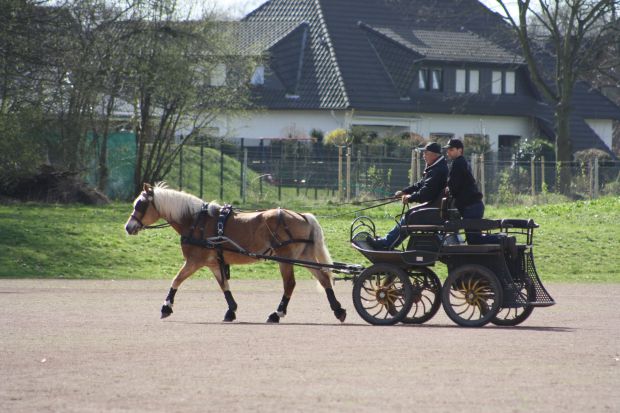 Bildansicht