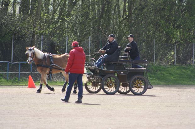 Bildansicht