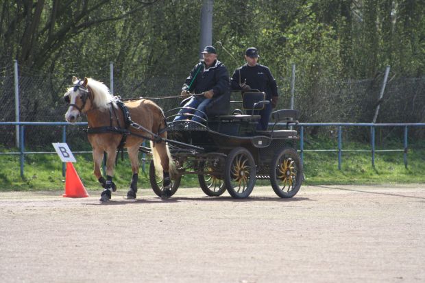 Bildansicht