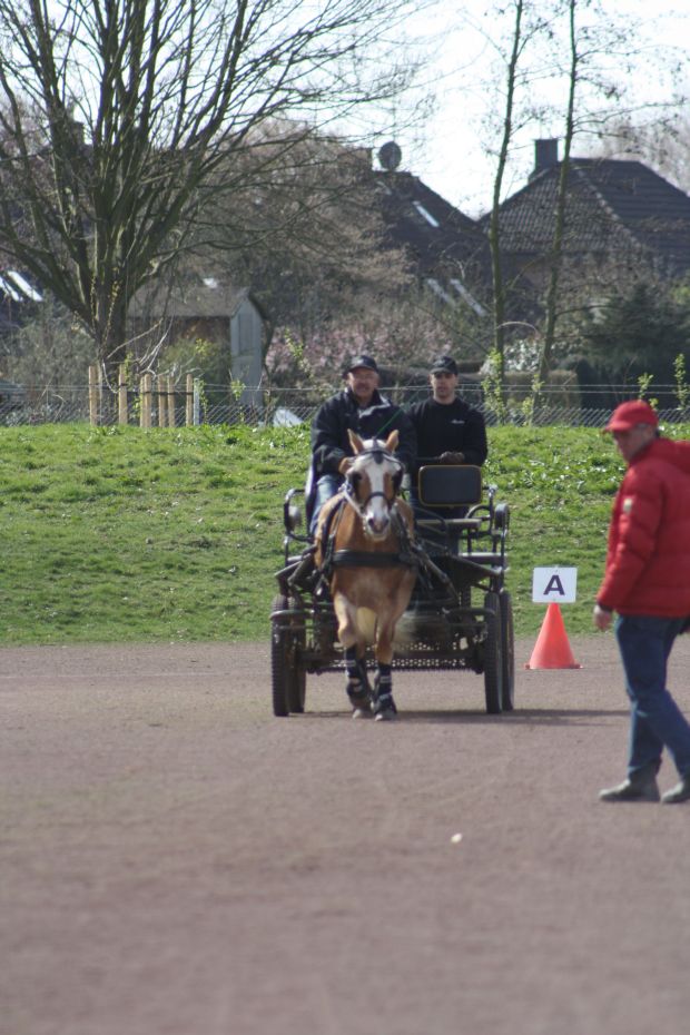 Bildansicht
