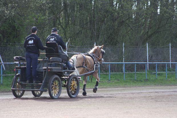 Bildansicht