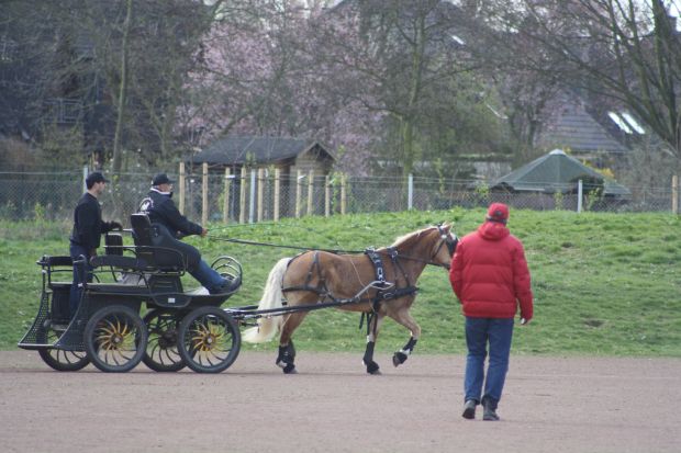 Bildansicht