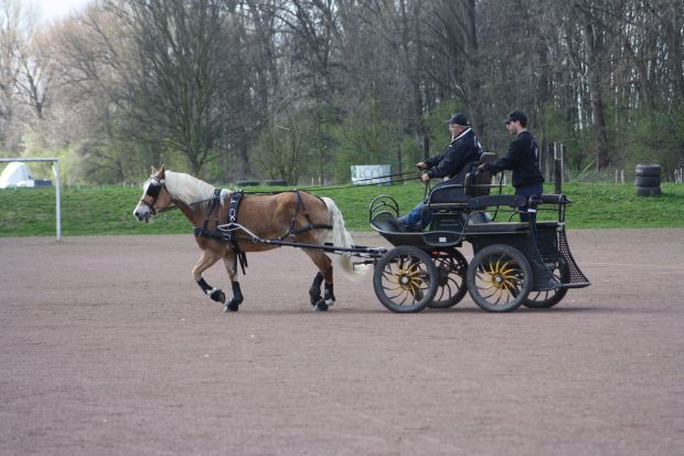 Bildansicht