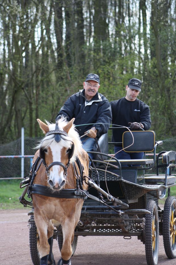 Bildansicht