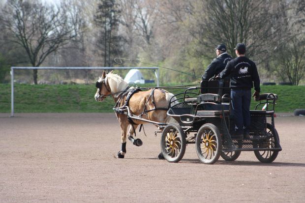 Bildansicht