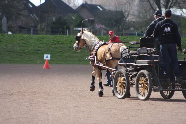 Bildansicht