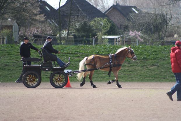 Bildansicht