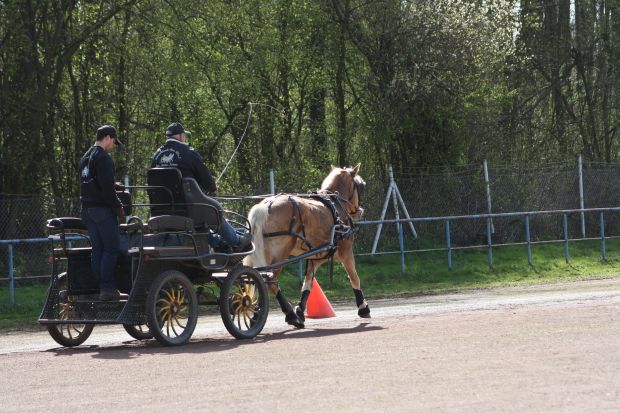 Bildansicht