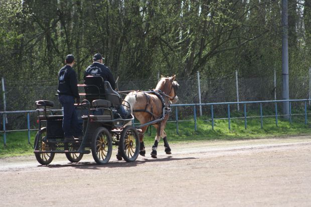 Bildansicht