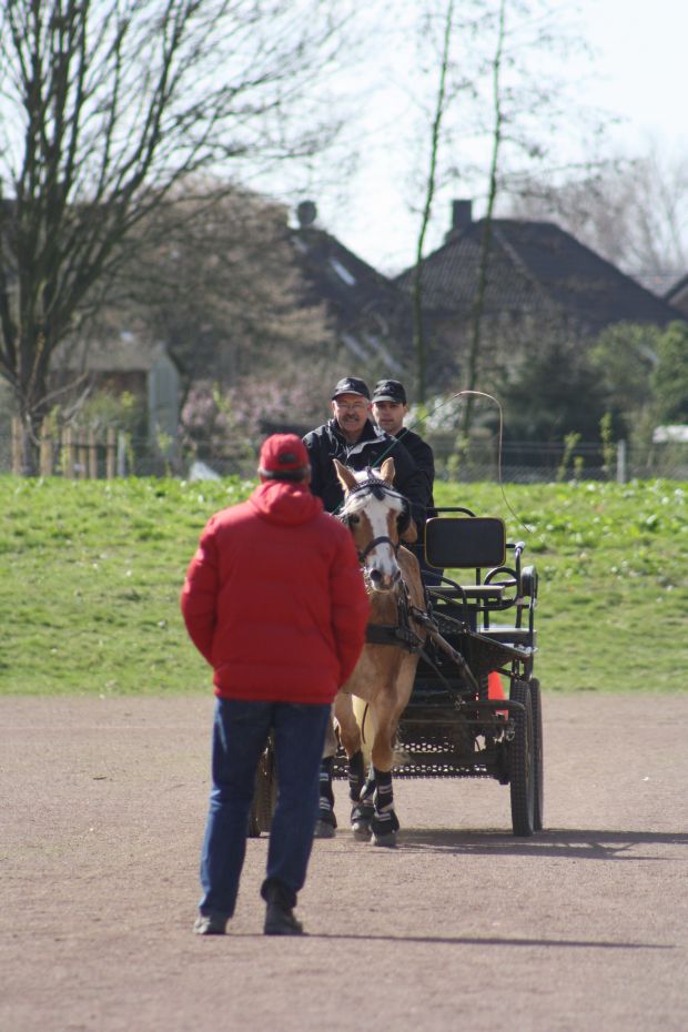 Bildansicht