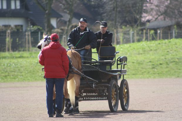 Bildansicht