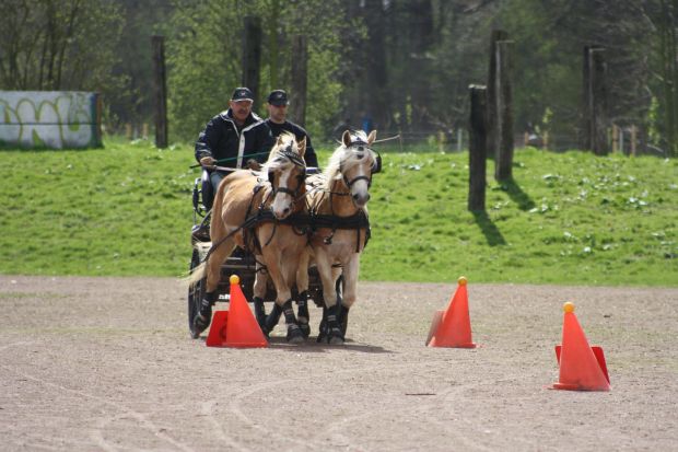 Bildansicht