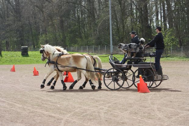 Bildansicht