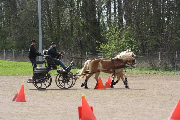 Bildansicht