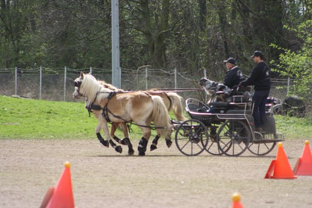 Bildansicht