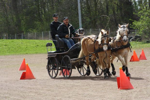 Bildansicht