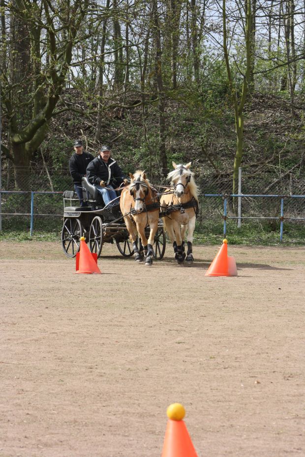 Bildansicht