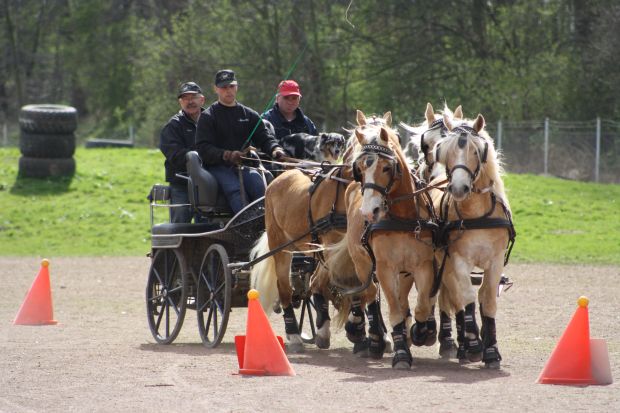 Bildansicht
