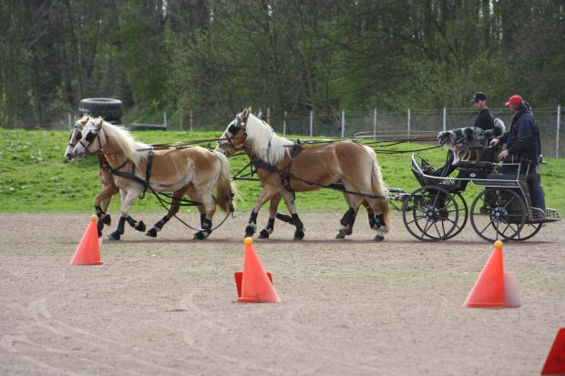Bildansicht