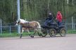 IMG_13351.jpg