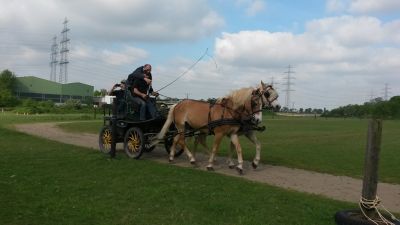 Fahrer beim Training