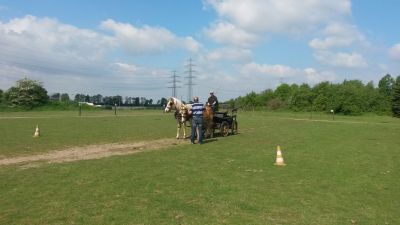 Fahrer beim Training