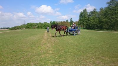 Fahrer beim Training