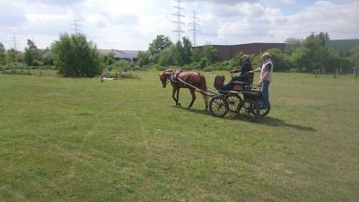 Fahrer beim Training