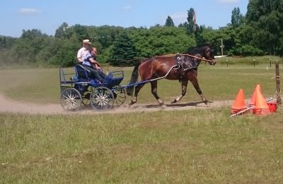 Fahrer beim Training